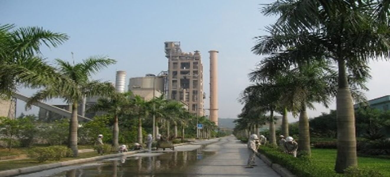 hoangmai